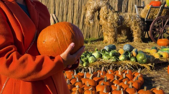 Mid-shot of person cradling medium orange pumpkin with both hands at chest level while wearing bright orange coat and teal collar, fingers interlaced under pumpkin indicate steadying or presenting