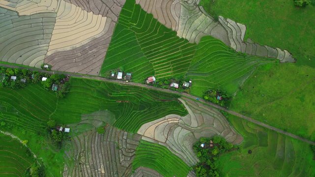 Drone footage reveals patterned agricultural fields in San Jose, Ocampo Camarines Sur, Philippines, with houses scattered along the countryside.