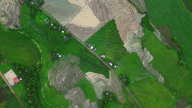 Aerial view of yellow rice fields surrounding rural homes in San Jose Ocampo Camarines Sur Philippines, showing farmland between planting seasons of greens in the area.
