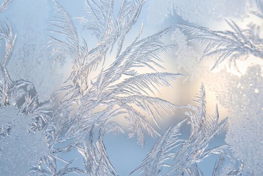 Frost patterns of ice crystals on frozen glass in winter. Delicate feather texture on frosted window with soft backlight. Cold weather and Christmas season background concept.