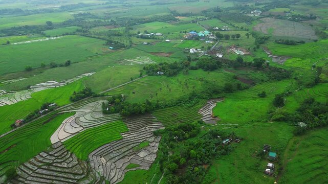 Drone footage presents a peaceful agricultural landscape in San Jose, Ocampo Camarines Sur, Philippines, combining harvested fields, vegetation, and village homes.