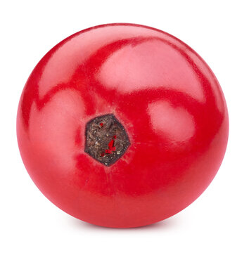 Red currant single berry isolated on white background. Ripe organic fresh red berry with clipping path
