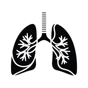 Pulmonary lungs and bronchial tree anatomy vector for respiratory healthcare clinical diagnostic