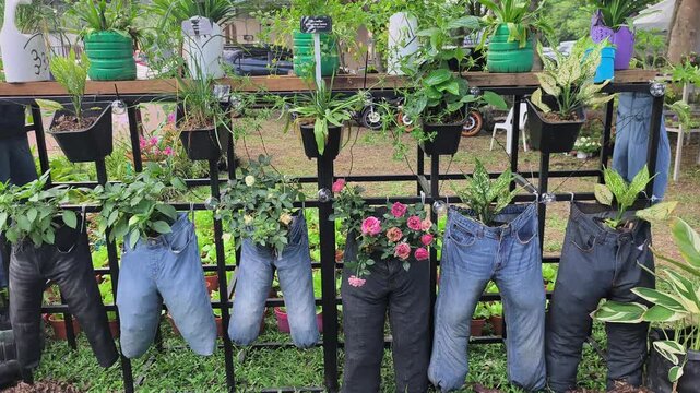 Repurposed denim jeans are creatively used as unique flower pots. The legs are sewn shut to hold soil, while colorful blooms sprout from the waist to create durable, eye-catching garden decor.