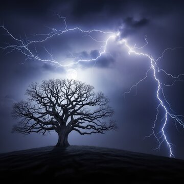 A lonely oak tree stands atop a dark rolling hill while powerful lightning bolts strike across a dramatic and moody nocturnal storm sky, weather, rain, dark