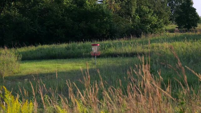 Perched juvenile red-tailed hawk observing prey from a shed roof along a rural disc golf course park in Miami County, Kansas at sunrise