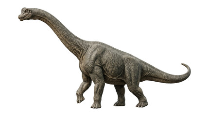 Brachiosaurus dinosaur walking showing long neck and textured skin isolated on transparent background png. © Png ProTeam