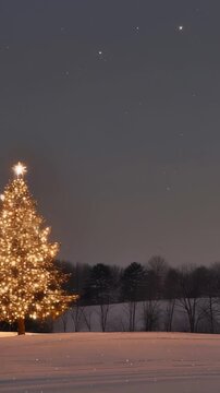 A decorated tree stands in a snow-covered field under the night sky. The tree is adorned with lights, and the snowy landscape creates a serene and festive scene. Winter landscape
