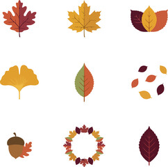 Fototapeta premium Assorted autumn leaves and acorns icon set showing seasonal harvest variety for creative graphic design projects