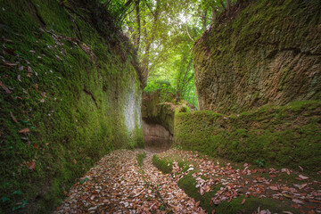 Obraz premium Via Cava di San Rocco Etruscan Sunken Road in Sorano, Tuscany, Italy