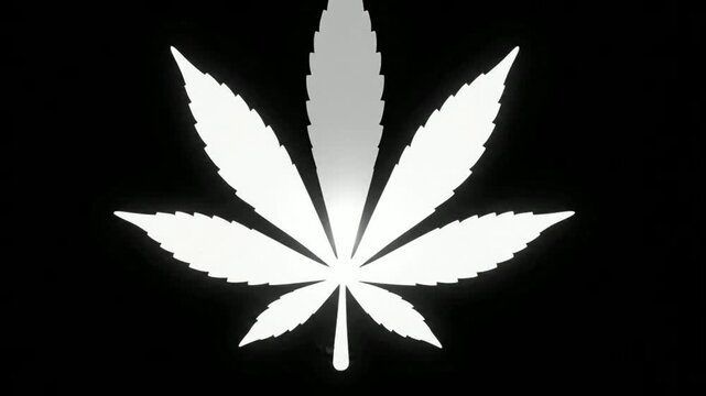 Glowing white leaf animation on black background, for industry branding, hemp motion black, background