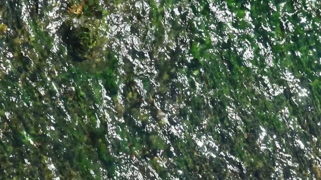 Flusswasser mit gr&uuml;nem Algen Flussbett und Lichtreflexionen an der Wasser Oberfl&auml;che in der Str&ouml;mung , Slow Motion Zeitlupen Video