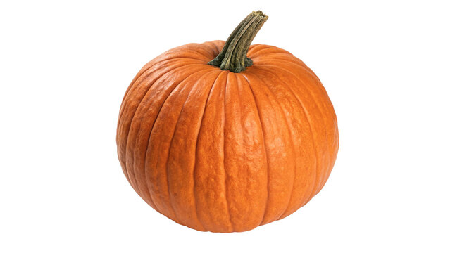 Whole fresh orange pumpkin vegetable autumn harvest isolated on transparent background