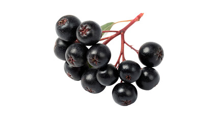 Bunch of fresh ripe black chokeberry berries isolated on transparent background © Olga
