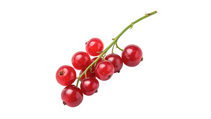 Scattered red currant berries layout composition isolated on transparent background © Olga
