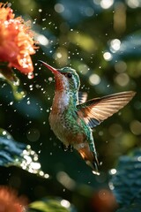 Fototapeta premium Hummingbird feeding near bright flowers in a garden during daylight