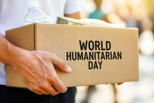 A person holding a cardboard box labeled WORLD HUMANITARIAN DAY outdoors in bright sunlight.