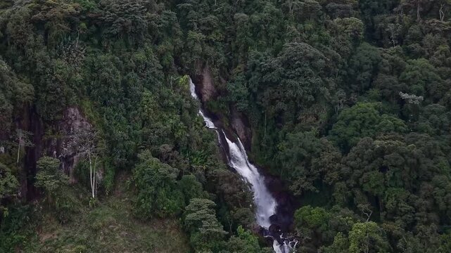 Cascada T&aacute;mesis