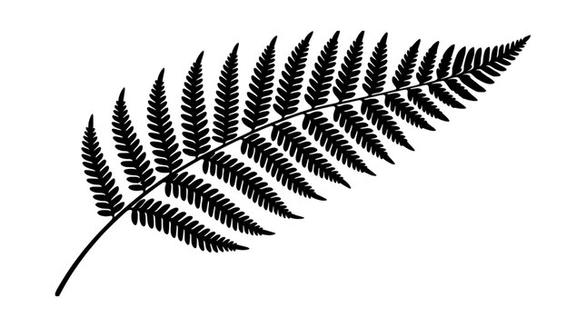 Black fern leaf frond silhouette vector illustration
