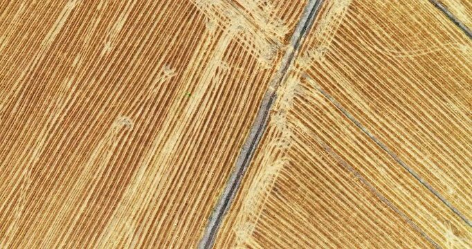 An aerial view displays harvested golden wheat fields divided by a narrow dirt path, showing parallel lines and tire tracks in bright sunlight.