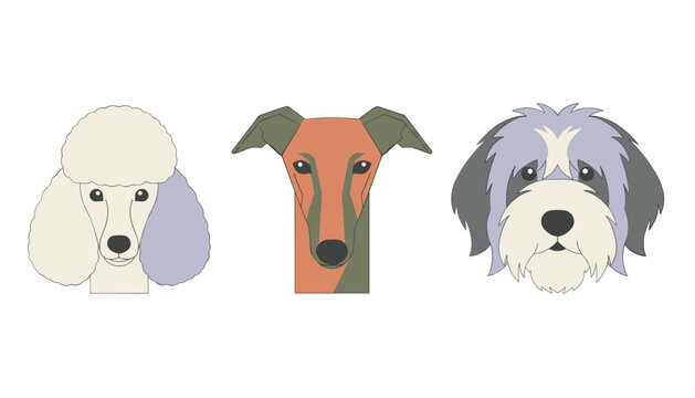 Three stylized portraits of different dog breeds including a Poodle, a Greyhound, and a Bearded Collie are shown on a white background.
