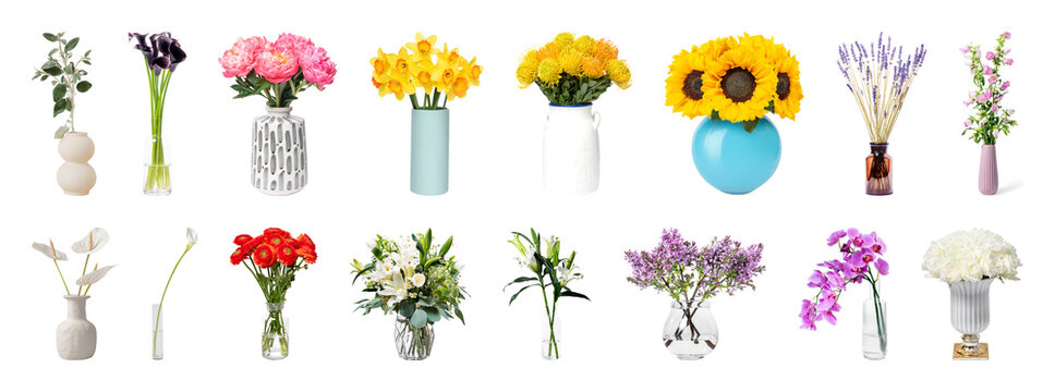 PNG Vibrant floral arrangements in vases on transparent background