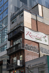 Obraz premium banner on the exterior of Rosebud Cannabis located at 365 King St W and PL Beauty House located at 367 King St W, Toronto