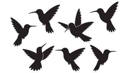 Fototapeta premium Seven Hummingbirds Flying in Various Dynamic Poses