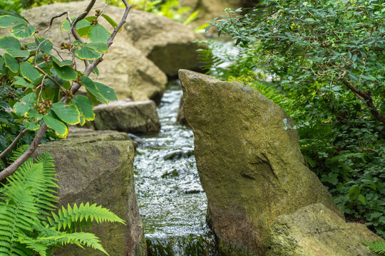 Large lichen-covered boulders frame a narrow rushing water channel, surrounded by ferns and dense green foliage in a shaded garden.