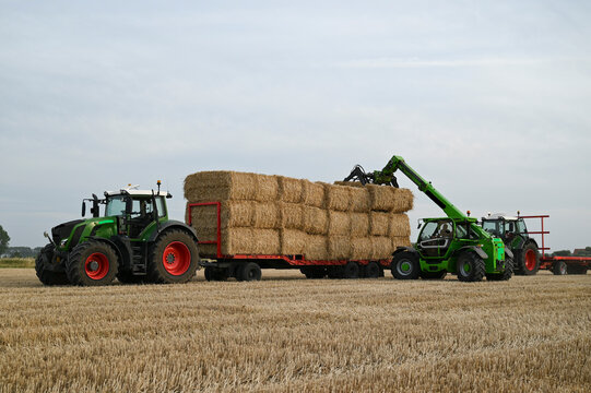 a farmer is loading the last square bale at a full wagon in a field in the dutch countryside in summer 