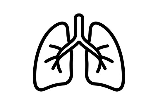 vector illustration of an hart 