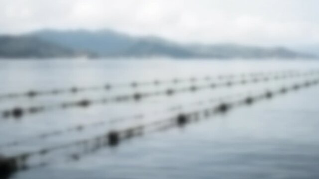 Seaweed farm lines seen from a boat on bright water, Full Gaussian Blur Abstract