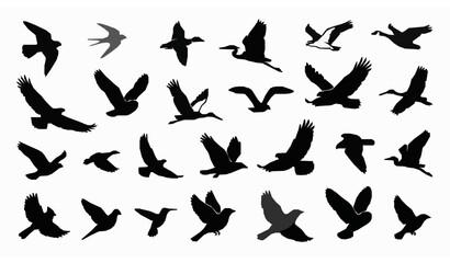 Fototapeta premium Flying Bird Silhouette Vector Set with Eagle, Owl, Heron, Hummingbird, Dove, and Songbird Icons for Nature Designs