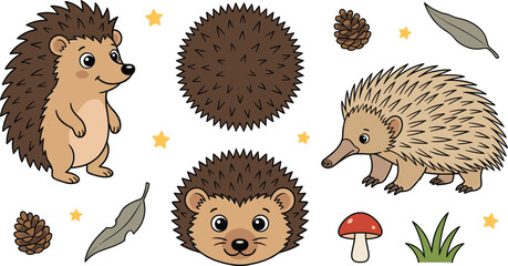 Obraz premium Cute Hedgehog and Echidna Vector Set with Character Poses, Spiky Ball, Head Portrait, Pinecone, Mushroom, Leaf, and Forest Animal Design Elements