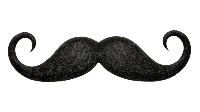 Isolated dark hair curly fake mustache, classic style for retro disguise or Movember fun
