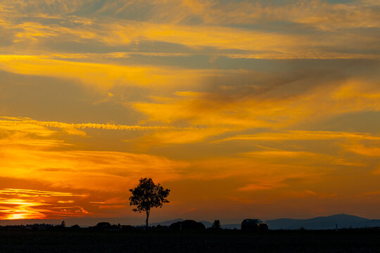 einzelner Baum gegen Sonnenuntergang orangener Himmel