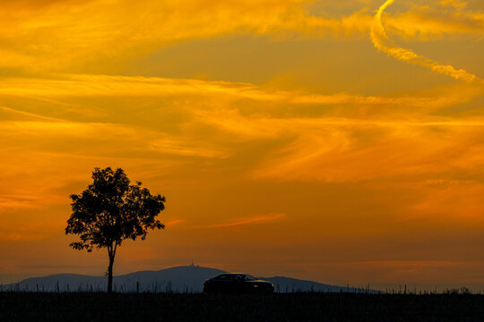 einzelner Baum gegen Sonnenuntergang orangener Himmel