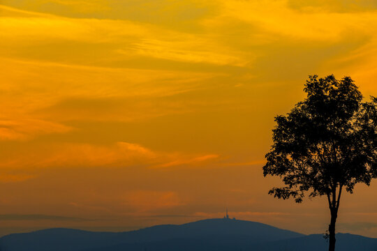 einzelner Baum gegen Sonnenuntergang orangener Himmel