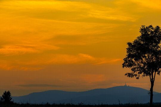 einzelner Baum gegen Sonnenuntergang orangener Himmel
