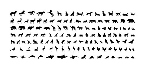 Fototapeta premium Collection of diverse animal silhouettes in black and white