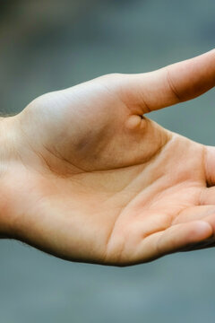 A person holding out their hand to reach or connect with something. vertical frame