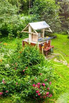 new wooden well in green backyard in village