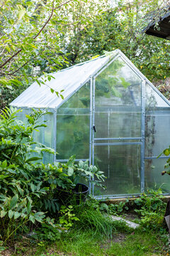polycarbonate greenhouse in green country garden