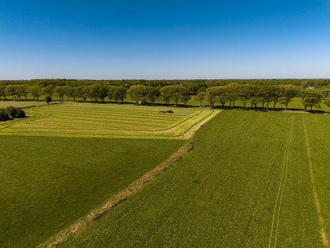 High angle wide horizontal aerial drone photograph of agricultural tractor raking mown hay into windrows, pastures, and tree line in rural Gelderland, Achterhoek, Netherlands on sunny spring day