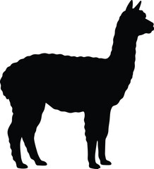Fototapeta premium Alpaca silhouette vector. Llama vector icon