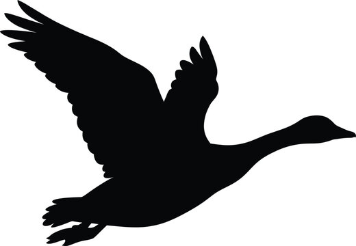 Flying goose silhouette vector. Duck flight vector icon