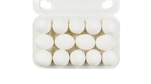 Isolated farm fresh fifteen white eggs in transparent plastic tray for cooking and baking.
