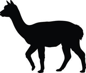 Fototapeta premium Alpaca silhouette vector. Llama vector icon