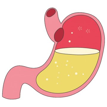 vector illustration of a healthy breakfast