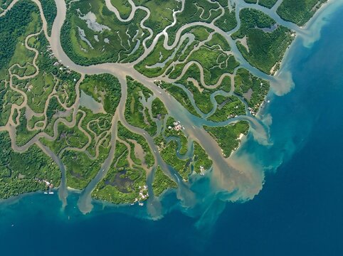Aerial view of tropical mangrove river delta flowing into the deep blue ocean water.
